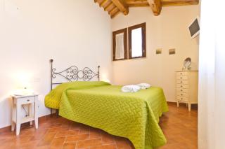 La Fattoria di Tirrenia - 8