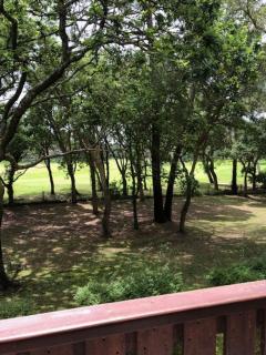 T2 près de la plage et du Club House du Golf - Moliets-et-Maa - 6