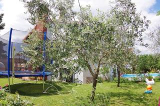 Ferienwohnung im Dorf Peresiji - Svetvinčenat - 7