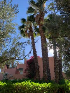 Villa avec piscine privatisée à la palmeraie - Marrakesh - 6