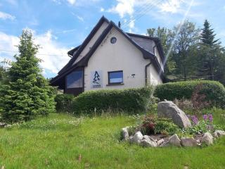 Fewo Am Skihang Og - Eibenstock - 9