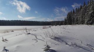 Fewo Am Skihang Og - Eibenstock - 1