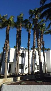 Ruhiges Ferienhaus mit gemeinsamem Pool und Garten - Costa Calma - 3