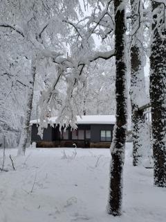 House del Bosque - San Martín de los Andes - 1