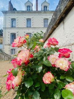 Maison Adrienne - Saint-Aignan - 0