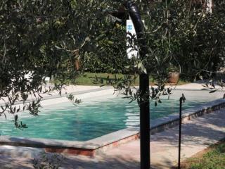 Residence Lorena Bungalow mit Salzwasser-Pool in Porec - 5