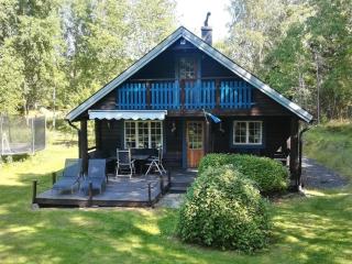 Familienfreundliches Haus mit Sauna und Trampolin - Vätö - 0