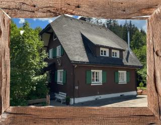 Schwarzwaldhaus St Blasien, Direkt Am Bach - 8