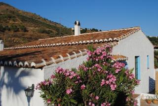 Ferienhaus in El Borge mit Garten, Grill und Terrasse - Borge - 5