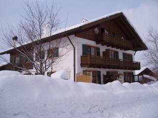 Komfortable Ferienwohnung in Bad Bayersoien - b48676 - Bayersoien - 1