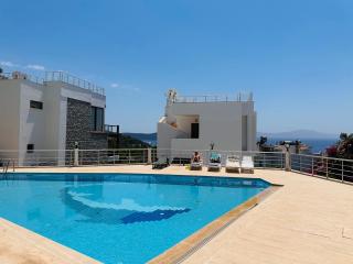 Deniz manzarali tas villa - 9