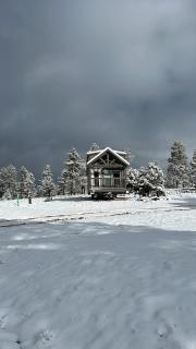 Cozy cabins by the forest 1B - Williams - 4