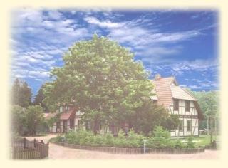 Gemütliche Ferienwohnung in Sehlen mit Garten, gemeinschaftlichem Pool und Grill - Sehlen - 9