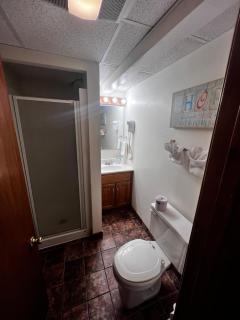 Green Dolphin - Old Orchard Beach - 4