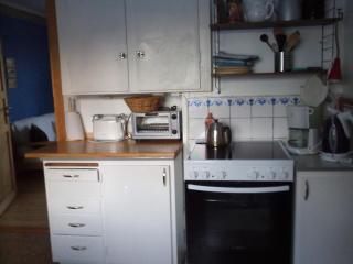 Ferienhaus mit Sauna und Kaminofen sowie Terrasse - Högsby - 4