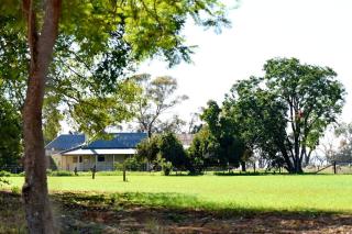 The Jetty House - Lake Frontage Barmera Riverland - Barmera - 4
