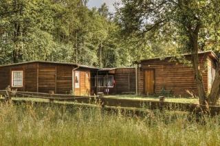 Ferienhaus In Kleiner Ferienanlage Mit Vielen Freizeitmöglichkeiten - Harzgerode - 9