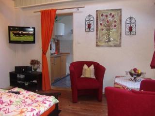Wohnung In Lübbenau Spreewald Mit Garten, Terrasse Und Grill - Lübbenau - 8
