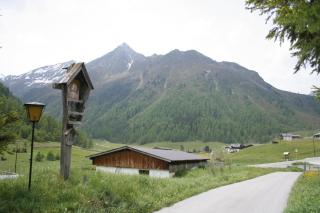 Wohnung Waldeslust In St, Sigmund Im Sellrain - Sankt Sigmund im Sellrain - 6