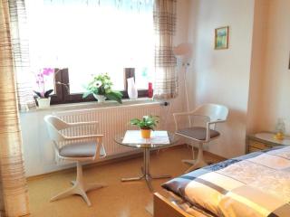 Wunderschöne Wohnung In Spiegelau - Spiegelau - 5