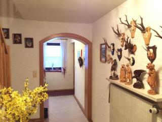 Wunderschöne Wohnung In Spiegelau - Spiegelau - 3