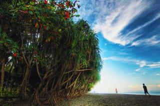 Peony 1 BR Bungalow AN24 - 3