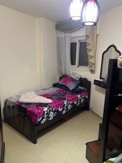 Almontza alexandrea - Alessandria d'Egitto - 9