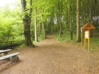 Gemütliche Ferienwohnung in Kuchelmiß mit Großem Garten - Kuchelmiß - 3