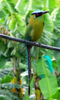 Casa Viva Alojamiento Rural - 7