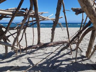 Spacieux T3, 6 Pers. avec Terrasse et Parking entre Plage et Port - FR-1-798-16 - Leucate - 2