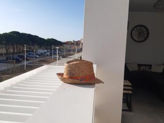 Superbe T2 climatisé avec parking, 4 pers, proche plage - FR-1-798-23 - Leucate - 1