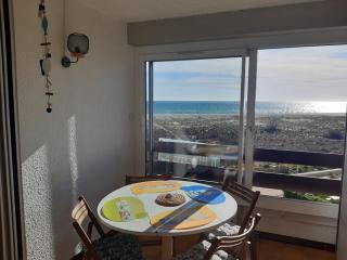 Studio Cabine avec Loggia, Garage et Parking à Port Leucate - FR-1-798-36 - Leucate - 6