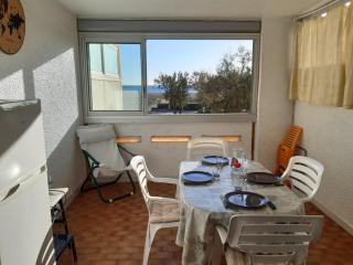 Studio cabine à Port Leucate, 4 pers, animaux admis, parking, accès direct à la mer - FR-1-798-19 - Leucate - 0
