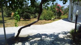 Kleine Villa Mit Geschlossenem Garten In Parabita - 1
