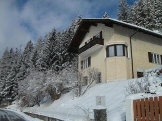 Ferienhaus in ruhiger Lage am Waldrand - Navis - 8