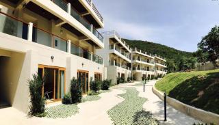 Sealey Resort - Koh Larn - 1