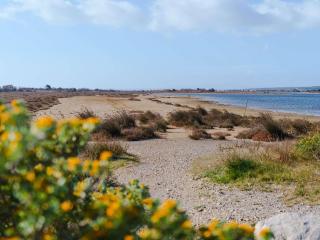 Studio Mezzanine Climatisé, Terrasse, Parking Privé, Animaux Bienvenus, Entre Narbonne-Plage et Gruissan - FR-1-409-270 - 3