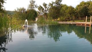 Ferienhaus mit biologischem Schwimmteich - Csernely - 6