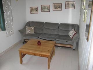 Schwedisches Holzhaus mit Grill und Terrasse - Jerfojaur - 4