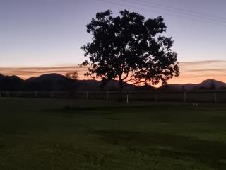 Koorawatha Homestead Motel - 1