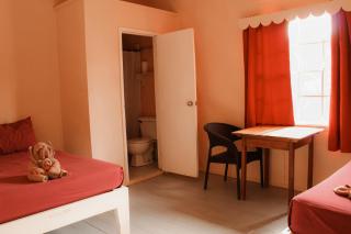 Tropical Paradise Express - 0