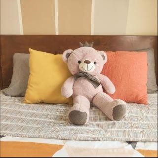 seaview beach4-13pax ksl CIQ midvalley johor bahru - 8