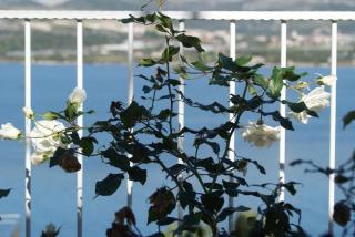 Wohnung 1 Im Erdgeschos Mit Terrasse Und Meerblick - Trogir - 3