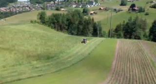 Pony Hof - Heiligenschwendi - 9