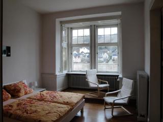 Wohnung in einem historischen Gebäude mit Balkon und Blick auf die Mosel - Zell an der Mosel - 3