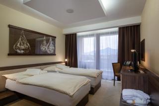 Wellness Hotel Diplomat - Rajecké Teplice - 8