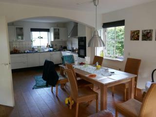 Buitenplaats 109 Comfortable holiday residence - - 1
