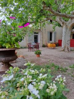 Bastide de la Couloubre - Mallemort - 0