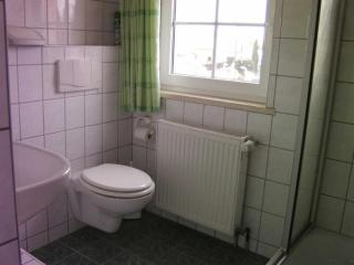 Ferienhaus mit Garten, Weinlaube und Aussenpool - Grimma - 1