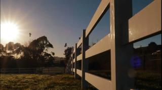Black Horse Cabin 2 by Tiny Away - Parakakau - 1